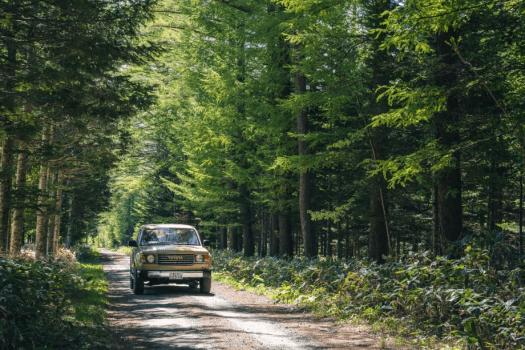 Moving Inn LAND CRUISER BAMBA 詳細2