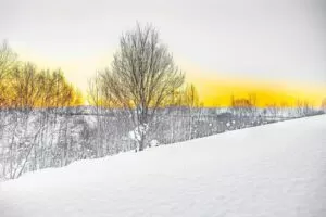 冬の美瑛、雪原に沈む夕日