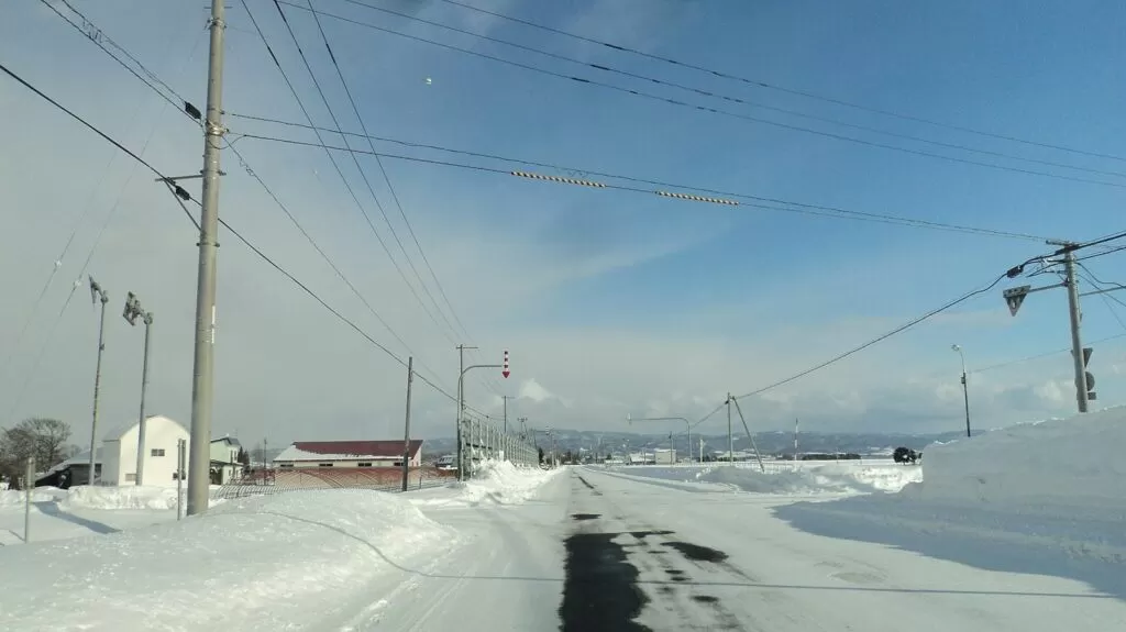 冬の北海道の道路。路肩の矢羽根（視線誘導標）が並ぶ（2012年1月）