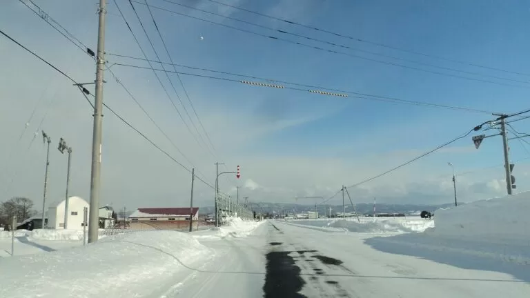 冬の北海道の道路。路肩の矢羽根（視線誘導標）が並ぶ（2012年1月）
