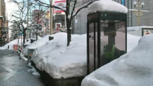 Hokkaido Winter Trip: Shoes & Packing List [2026] – 2,060 Sapporo Fall Transports and a Pre-Departure Checklist