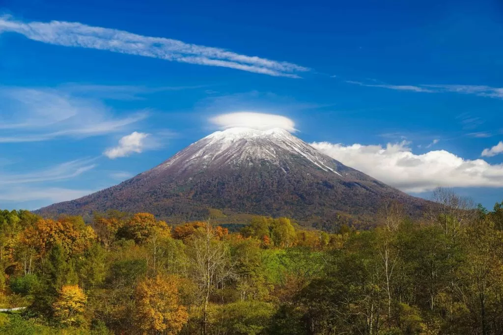 秋の羊蹄山と紅葉の森
