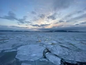 紋別の沖を埋める流氷