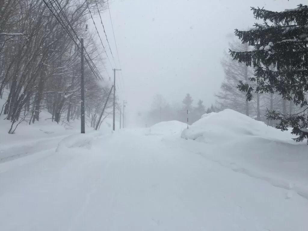 吹雪で視界が白くかすむ札幌の雪道