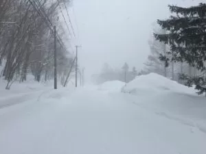 吹雪で視界が白くかすむ札幌の雪道